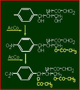 Mecanismo acción de la cloranfenicol-acil-transferasa.