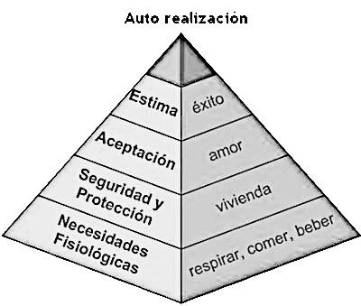 Teoría de Maslow: la pirámide: Teoría de Max Neef: Ser Tener Hacer Estar Subsistencia Toma de iniciativas Capacidad de concreción Edificar Superior Amparán Escuela Fidela Conciencia de los recursos