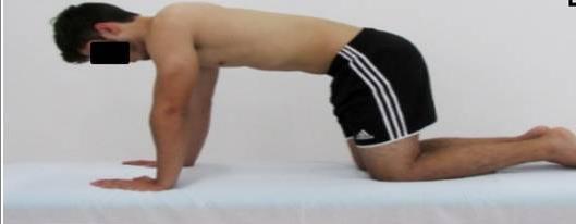 b) Progreso rodilla Push- up: paciente posición cuatro puntos con apoyo en manos y rodillas, realizar retracción y protracción de la escápula. 3 x 15 repeticiones.