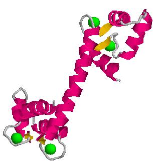 Una vez en el RE las proteínas son transportadas sin reentrar al citosol, a menos que sean destinadas a