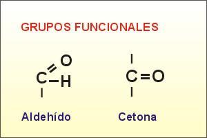 1. CARACTERÍSTICAS GENERALES Y CLASIFICACIÓN Biomoléculas