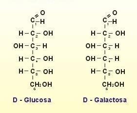 Presentan distintos tipos de isomería: De función: Aldosas y