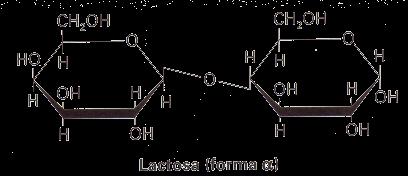 Oligosacáridos de más de 2 monosacáridos Un trisacárido importante es la rafimosa ( -D Galactopiranosil (1-6) -D Glucopiranosil (1-2) -D Fructofuranósido que se