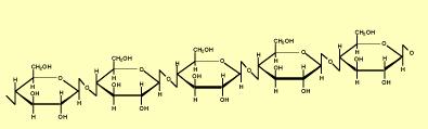 Celulosa Formada por cadenas NO ramificadas de -D-Glucopiranosas unidas mediante enlace (1--4) Las cadenas individuales se unen mediante puentes de hidrógeno y forman las microfibrillas, que se unen