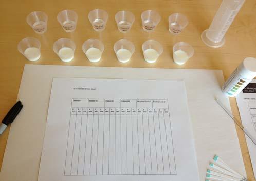 La fotografía de la derecha muestra cómo organizar tu experimento. Determinación de los niveles de glucosa inicial (tiempo 0). 4.
