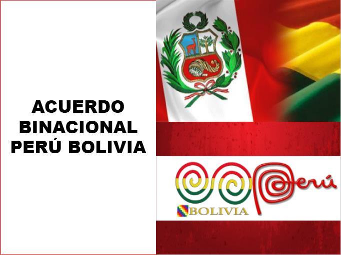APOYO AL MPD EN OTRAS ACTIVIDADES Apoyo al MPD en la Reunión Binacional Perú - Bolivia Sistematización de acuerdos alcanzados en 4 ejes: Medio ambiente y