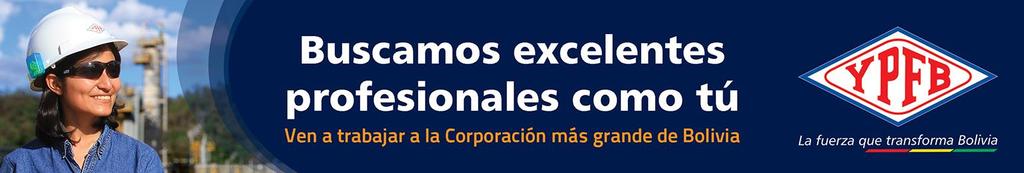 CONVOCATORIA PÚBLICA EXTERNA 02/2014 YPFB invita a todos(as) los(as) profesionales interesados(as) a presentar su postulación para optar a los siguientes cargos: Descripción del Cargo Perfil
