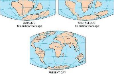 Wegener supone la existencia de un supercontinente, denominado Pangea, que constituía un bloque compacto hace 300 millones de años.
