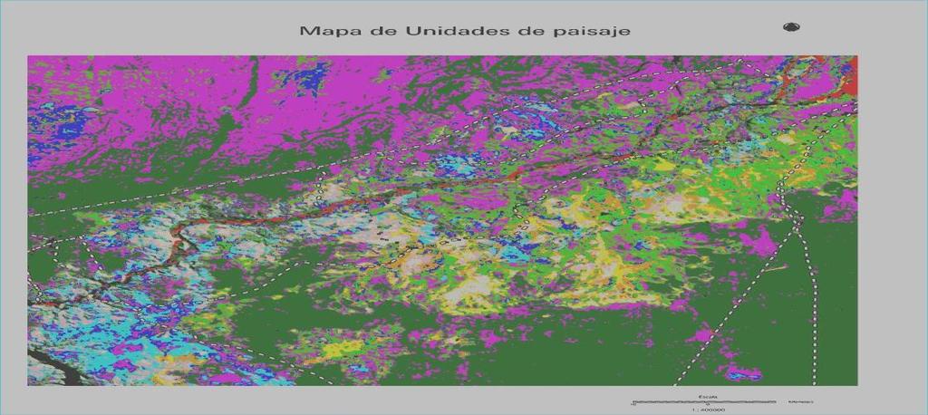 Cuadro nº 3. Principales parámetros físicos y edáficos medidos en las UP seleccionadas dentro de la cuenca inferior del río Chubut. UP Sup (ha) Textura MO (%) Estruct. Permeab.
