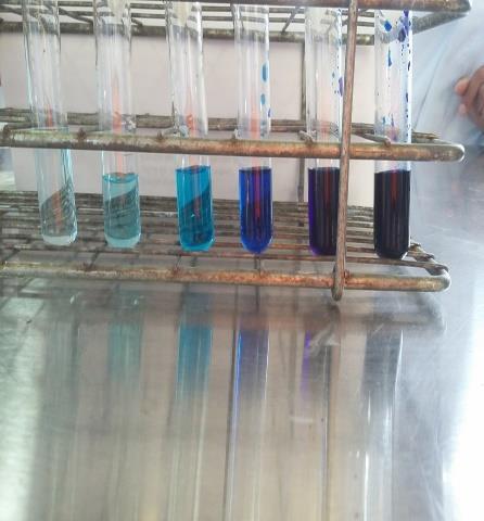 Tubo H2O(ml) Dilución Seriada de azul de metileno Sol. Azul de Metileno Vol. Transferencia 1 2 0.5-2 2 0.1 0.5 ml 3 2 0.02 0.5 ml 4 2 0.004 0.5 ml 5 2 0.0008 0.5 ml 6 2 0.00016 0.