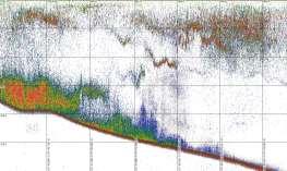 Distribución vertical latitudinal de la anchoveta. A continuación se presentan ecogramas con altas densidades de anchoveta.