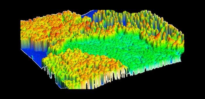 Determinación del potencial de biomasa LIDAR para la estimación de