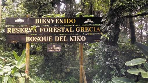 Biológica Alberto Manuel Brenes v Reserva Forestal Grecia