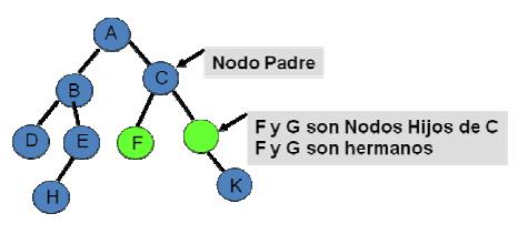 2 Nodo Hijo: Es el nodo sucesor de un elemento. Nodo Hermano: Nodos que tienen el mismo nodo padre Subárbol: 1.