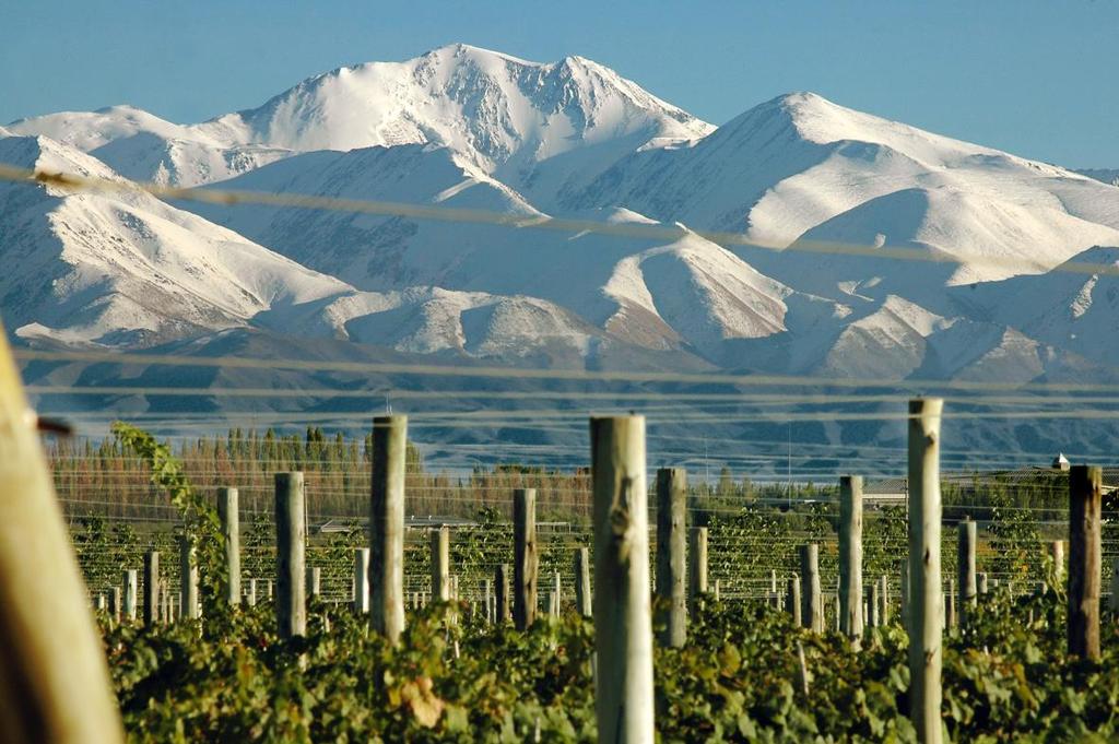 InterContinental Mendoza en la Tierra del Sol y del Buen Vino Reconocida mundialmente por sus excelentes vinos, la calidez de su gente y sus