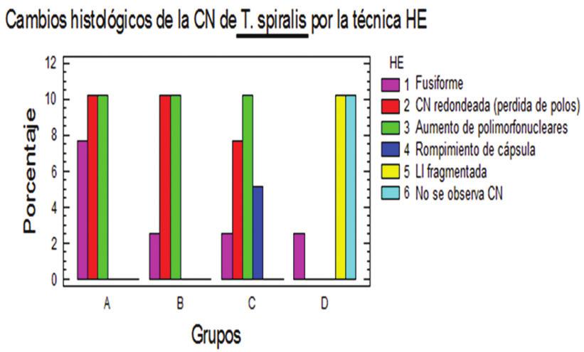 MODIFICACIÓN DE LA CÉLULA NODRIZA DE T. SPIRALIS Figura 6. Representación en porcentaje de los cambios morfológicos observados mediante la técnica de H/E y la frecuencia en la que estos aparecen.