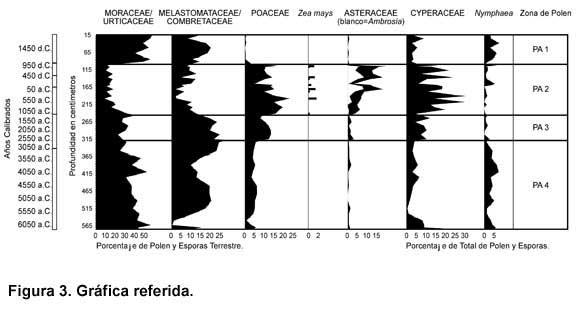 La Figura 3 muestra el registro de longitud del polen del Holoceno en Puerto Arturo.