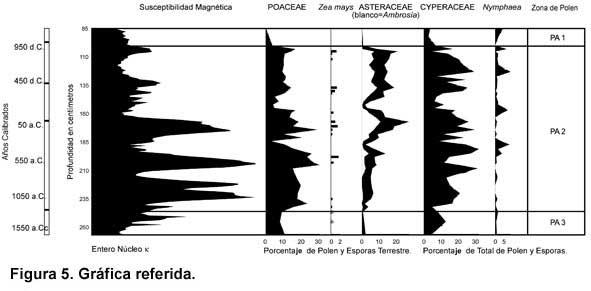 Este registro de Puerto Arturo muestra fuerte evidencia paleo-ecológica del abandono ocurrido durante el Preclásico en la Cuenca Mirador.