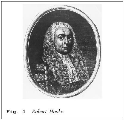 Teoría Celular En 1665, Robert Hooke, al observar al microscopio, un fragmento de corcho, descubre que está compuesto por una serie de estructuras parecidas a las celdas de los panales de las abejas,