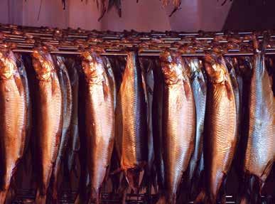 De las instalaciones de un carro adaptadas hasta las instalaciones de procesamiento ininterrumpido: las FISHjet resultan adecuadas para el procesamiento de pescado tanto colgado como en forma