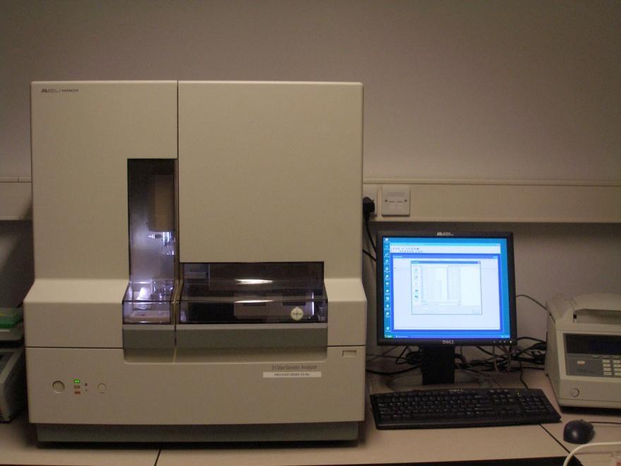 AMPLIFICACION- PCR Purificación Ventaja
