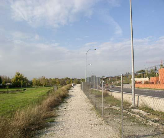 Carretera de El Pardo (camino lateral) entre la "Playa de Madrid" y el "Tejar de Somontes" LONGITUD (m) 1130 ganadero, ocio, deportivo muy escaso USOS COLINDANTES - - ANCHO TOTAL (m) 8,00 (variable)