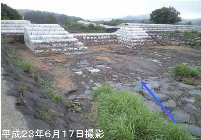 pico en inundación Shimizu et al,2011, Journal of the Japan Society