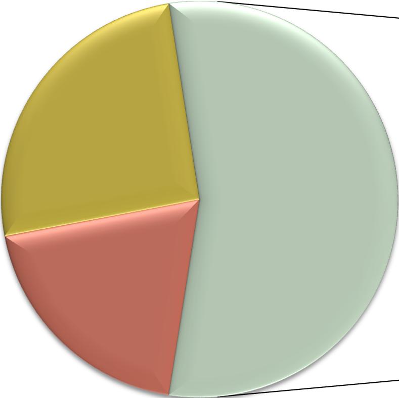 Software y serv. relacionados 6,2% S.