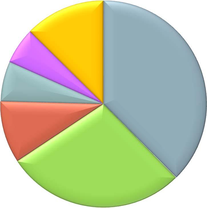 profes., técnicos y gerenc. 6,3% Resto 12,6% Software y serv. relacionad os 37,6% Otros s. profes., técnicos y gerenc. 8,7% Almac.