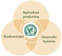MISIÓN PROGRAMA AGRICULTURA SOSTENIBLE Integrar: agricultura productiva, conservación de la biodiversidad y el desarrollo humano