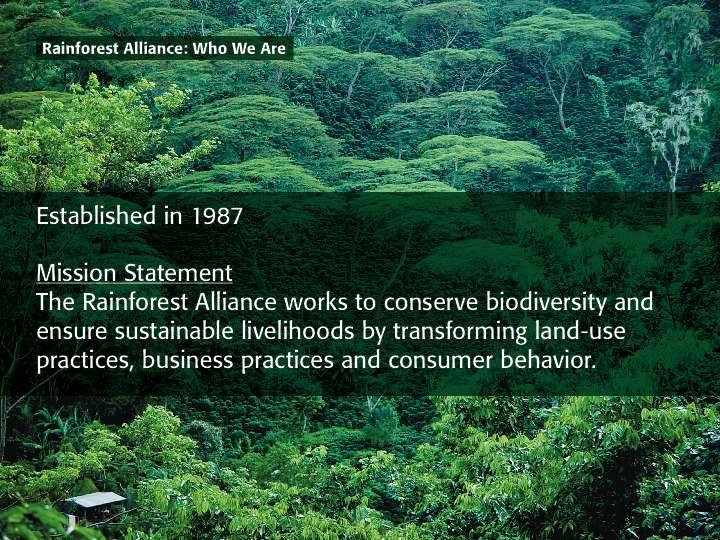 Establecida en 1987 Nuestra misión: Rainforest Alliance trabaja para conservar la biodiversidad y asegurar los