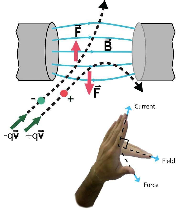 Slide 31 / 49 Fuerza sobre una carga eléctrica en movimiento en un campo magnético La fuerza sobre una carga en movimiento está