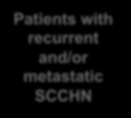 EXTREME: Estudio Fase III - aleatorizado N=442 Patients with recurrent and/or metastatic SCCHN CT CT + cetuximab Cetuximab until PD CT Cisplatin (100mg/m 2 i.v.
