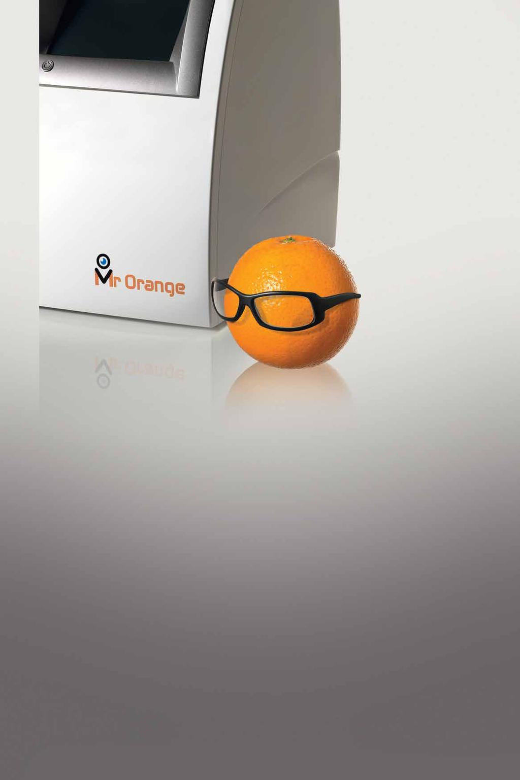 Mr Orange Concebido