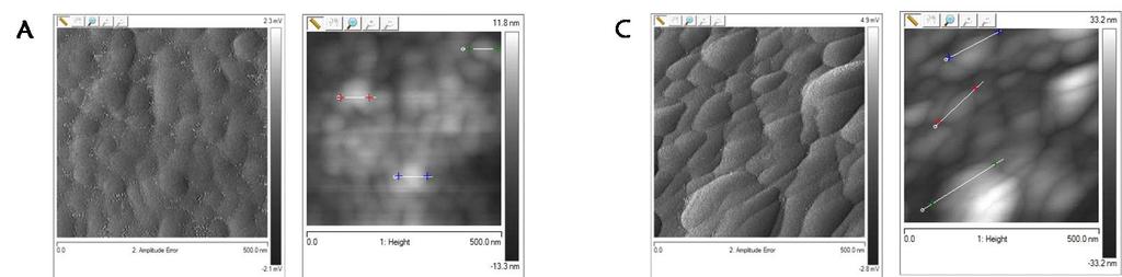 10: Imágenes topográficas de microscopía de fuerza atómica (AFM) en 3D de alta resolución (500 nm x 500 nm) de los gránulos de almidón.