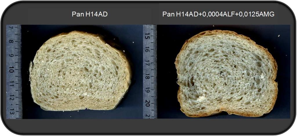 Resultados y Discusión Capítulo 5 Con estos resultados queda demostrado experimentalmente que la adición de α-amilasa y amiloglucosidasa en la formulación de pan mejoró significativamente la calidad