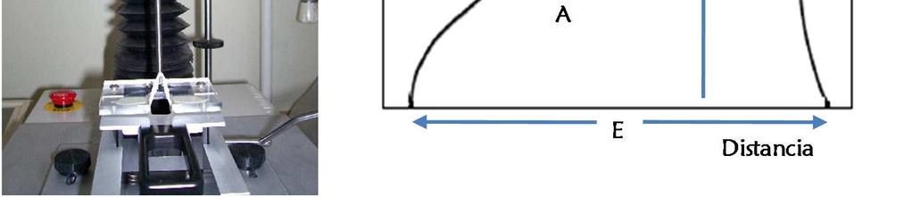 trabajo de deformación que se requiere para extender la masa hasta la rotura) (Figura 2.4). Figura 2.4: Sonda de medición y representación gráfica de una curva de extensión uniaxial. 4.