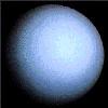 Urano es el séptimo planeta en cercanía al Sol Es un planeta azul y helado XXXXX y de un cinturón de anillos y lunas Urano es un planeta muy