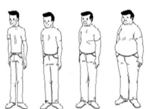 AUTOPERCEPCIÓN PESO CORPORAL Serie Comparada Autopercepción de peso corporal (%) P6.9 Cómo considera Ud.