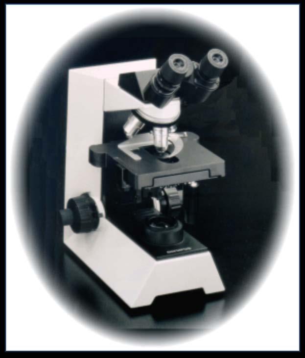 EL MICROSCÓPIO Para estudiar los especímenes biológicos, que pueden ser muy pequeños, usamos un instrumento óptico que amplía la imagen, llamado microscopio.