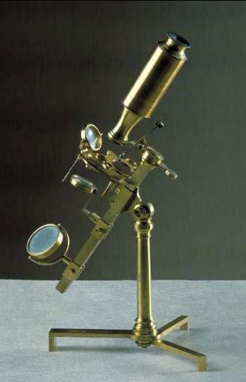 INTRODUCCIÓN HISTÓRICA En el siglo XVIII El microscopio se