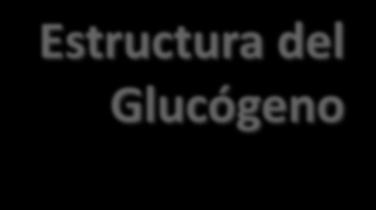 Glucógeno