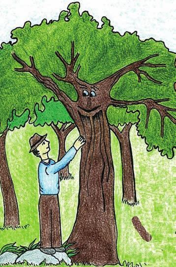 El hombre habló con el árbol más grande y fuerte del bosque y se hizo su amigo. Le llamó Árbol de la Esperanza. Préstame unas cuantas ramas de tu grande copa le dijo el hombre con gran respeto.