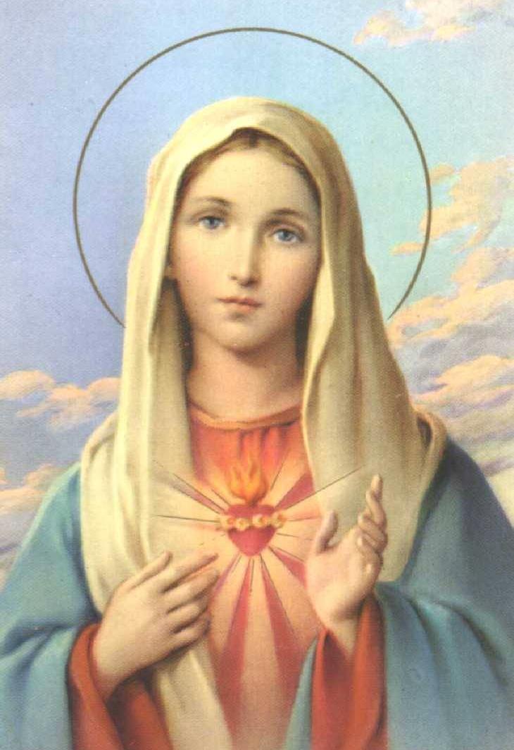 Consagración al Inmaculado Corazón de María Oh María, Madre de Dios, os pido con humildad de corazón, que veas nuestro interior y nuestra angustia hoy.