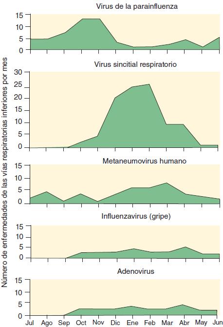 Figura 40-6 Los tipos de infecciones de las vías respiratorias inferiores en lactantes y preescolares con paramixovirus y otros virus.