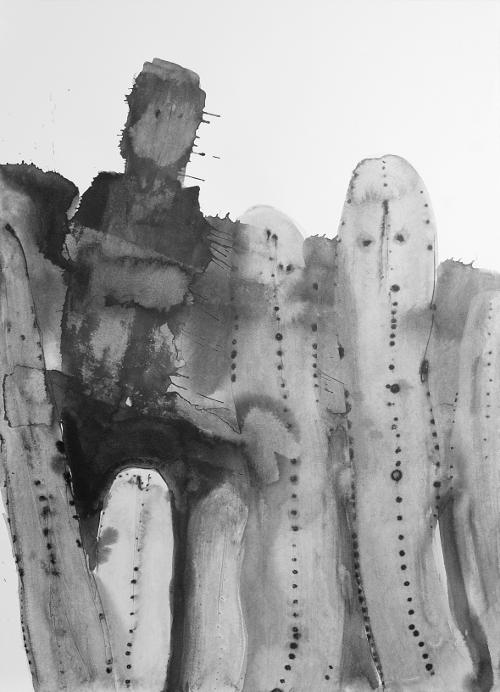 Vivientes en el Teide, 2010 Dibujo de tinta china