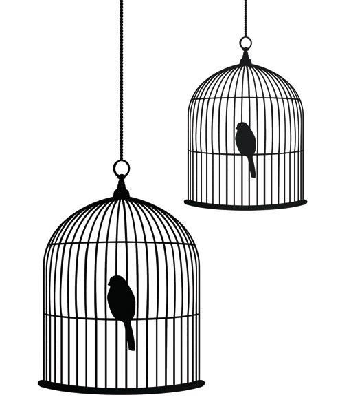 Marylin. Frye The Politics of Reality: Essay in Feminist Theory. Considera una jaula de pájaros. Si miras muy de cerca a tan solo uno de los barrotes de la jaula, no puedes ver los demás barrotes.