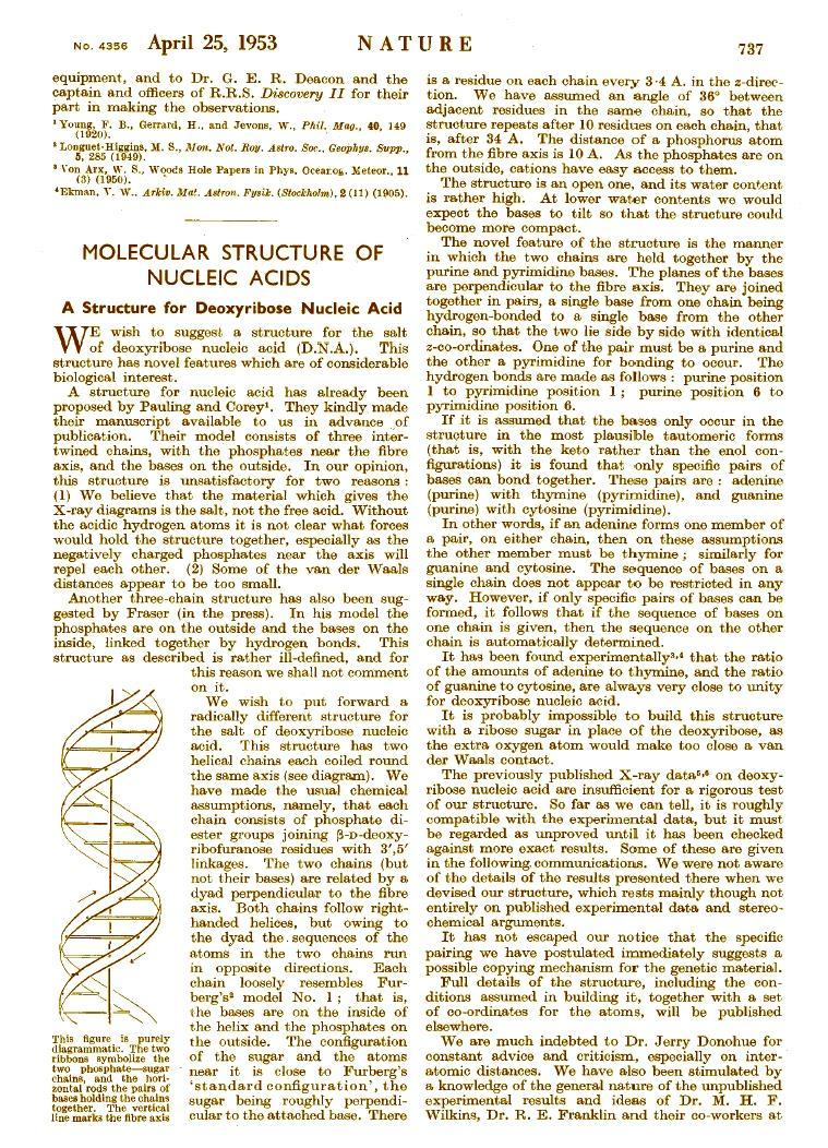 64 Aniversario del Descubrimiento de la Estructura en Doble Hélice del DNA 47 25 de Abril 1953 It has not escaped our