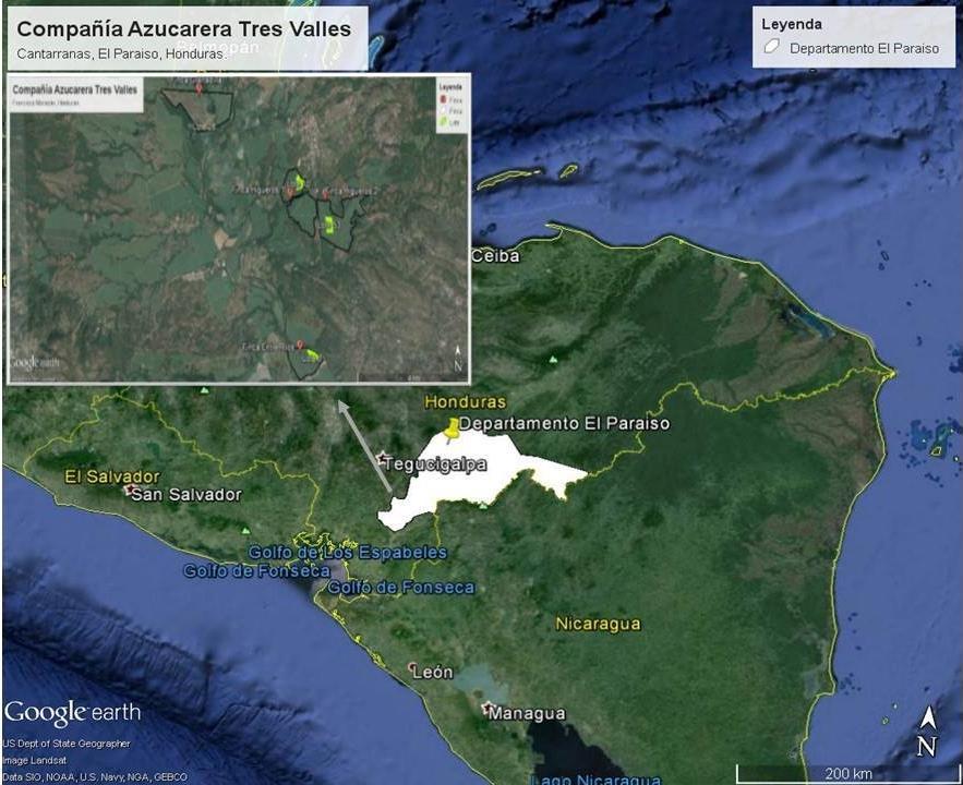 2. MATERIALES Y MÉTODOS Localización Este estudio se desarrolló en cuatro fincas del Ingenio Tres Valles, ubicado en Cantarranas a 45 km de Tegucigalpa, Departamento de Francisco de Morazán, Honduras.