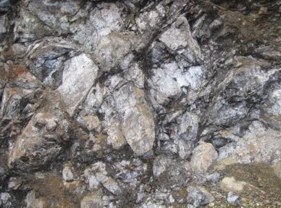 Peridotita o roca original. Saprolita (Zonas C y D).